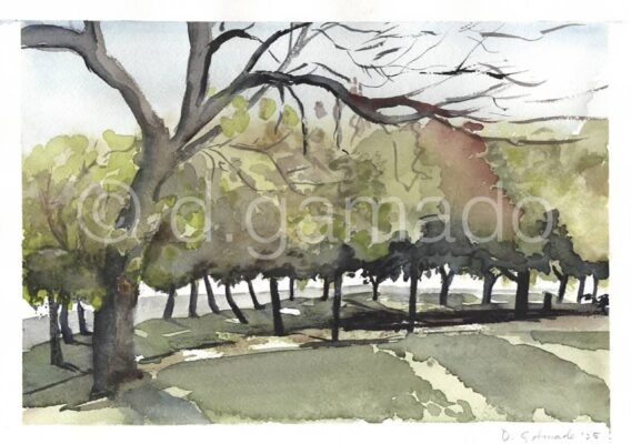 El parque del Espinillo, 2025
Acuarela sobre papel
21x29,7 cm
<s>61</s>€ 43€