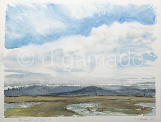 Paracuellos de Jarama, 2025
Acuarela sobre papel
27x35cm
<s>93</s>€ 65€