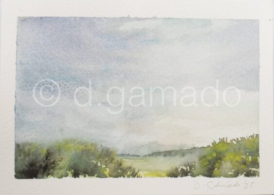 El Pardo, 2025
Acuarela sobre papel
13x18
23€